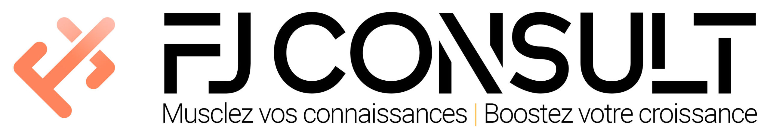 FJ Consult